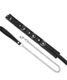 Black and silver collar and leash