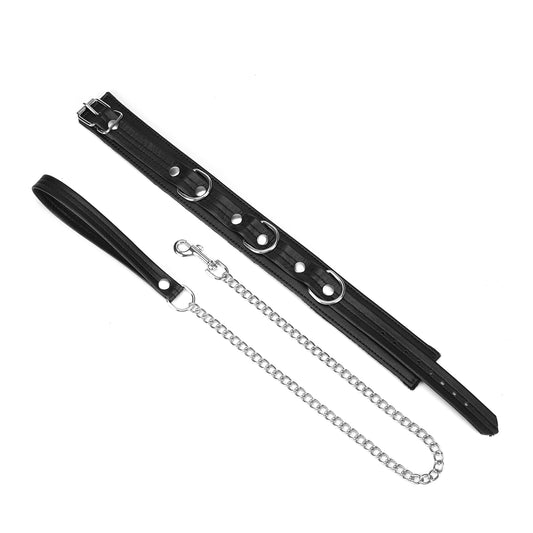 Black and silver collar and leash