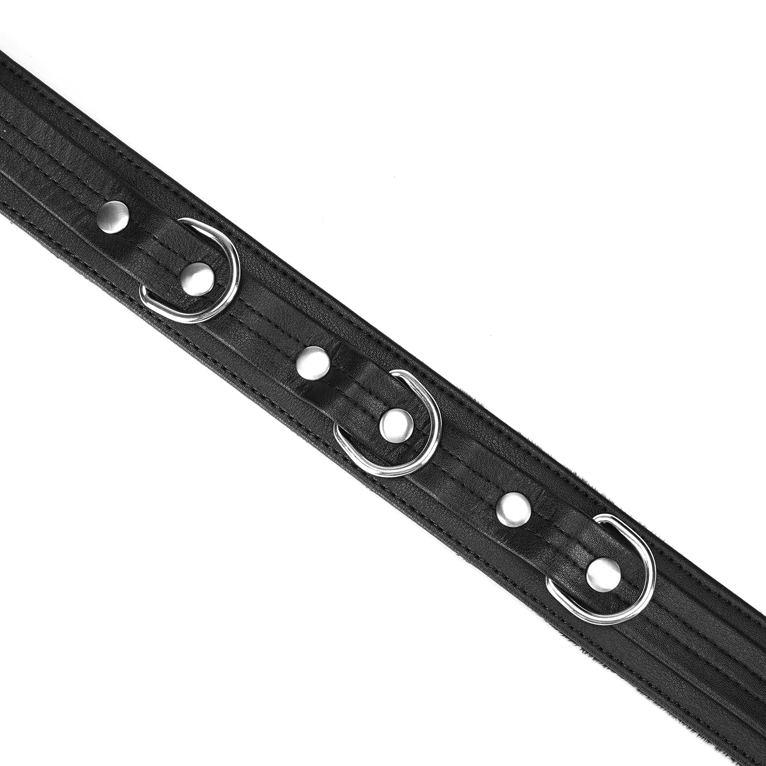 Black and silver collar and leash