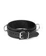 Black and silver collar and leash