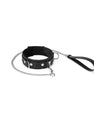 Black and silver collar and leash