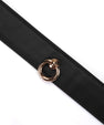 Black and gold collar and leash