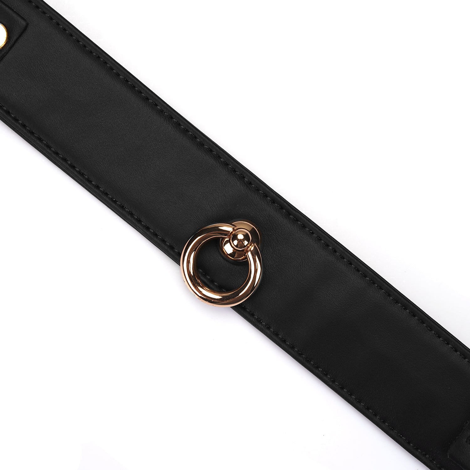 Black and gold collar and leash