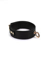 Black and gold collar and leash
