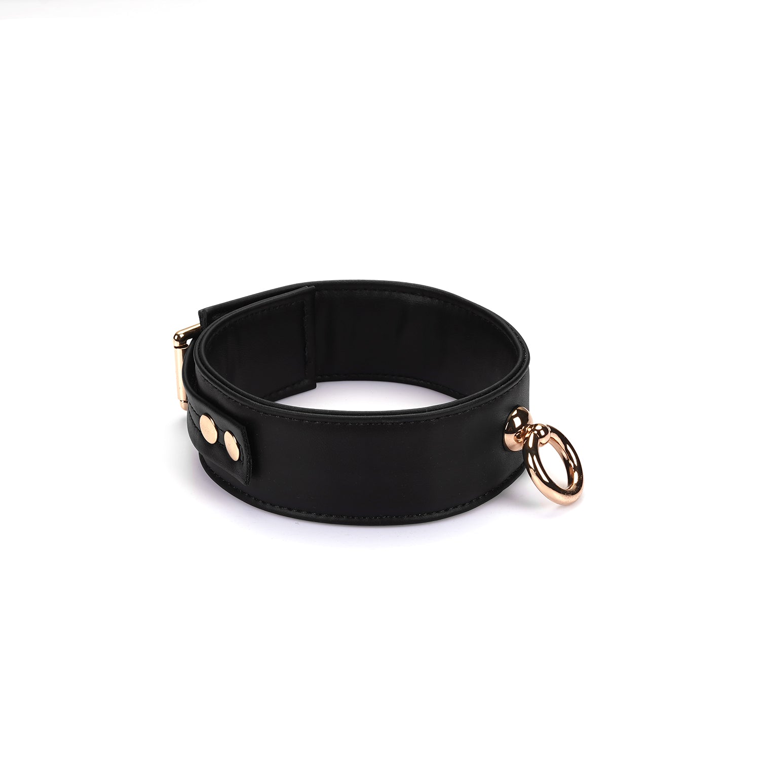 Black and gold collar and leash