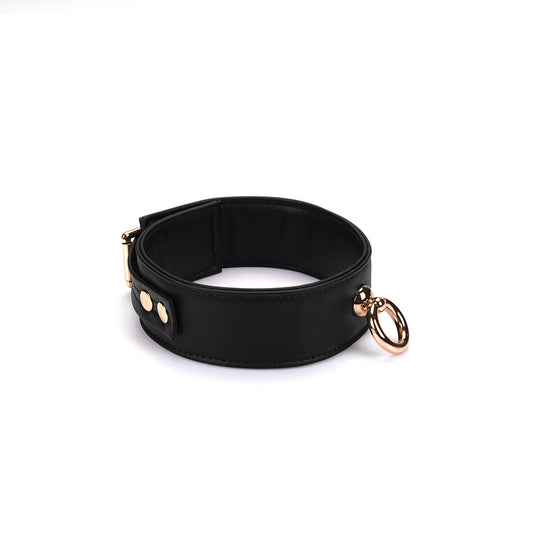 Black and gold collar and leash
