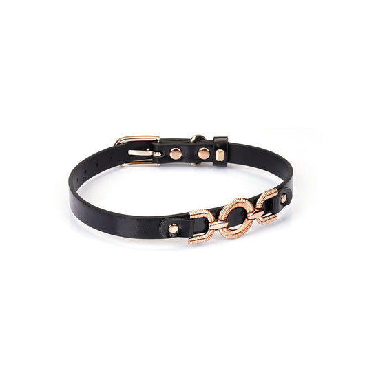 Black patent leather collar with gold buckle