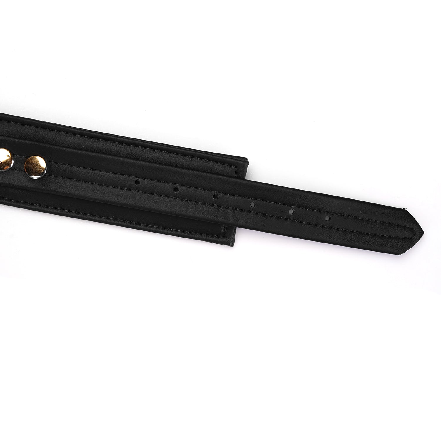 Black and gold collar and leash