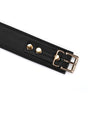 Black and gold collar and leash