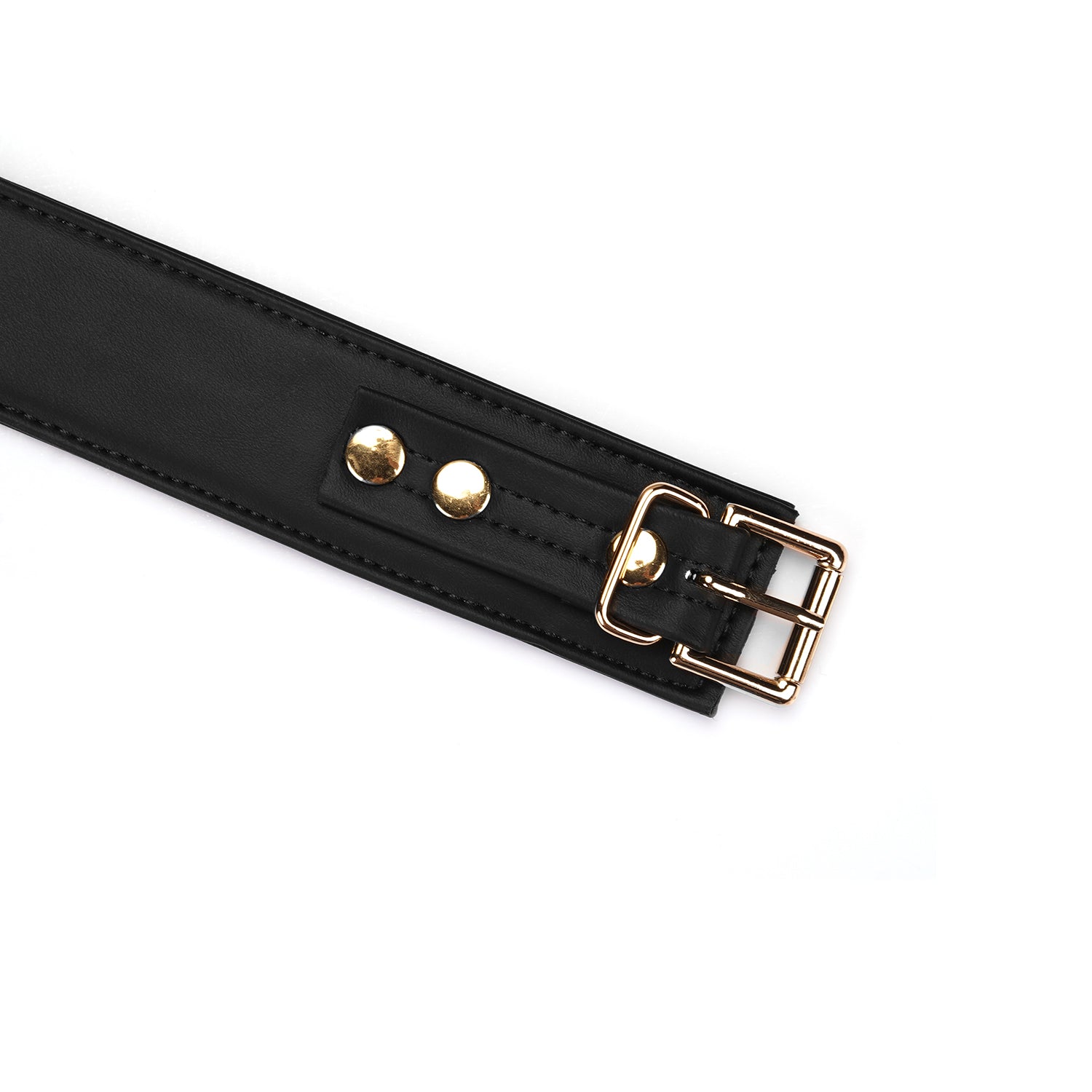Black and gold collar and leash
