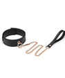 Black and gold collar and leash
