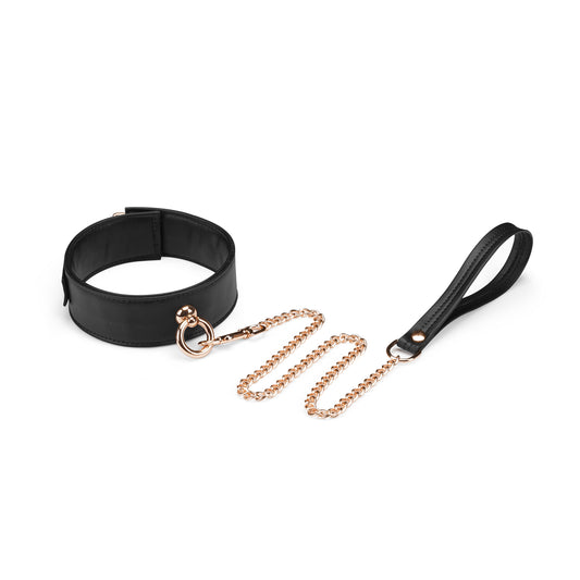 Black and gold collar and leash