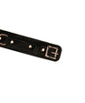 Collier avec laisse velours Noir