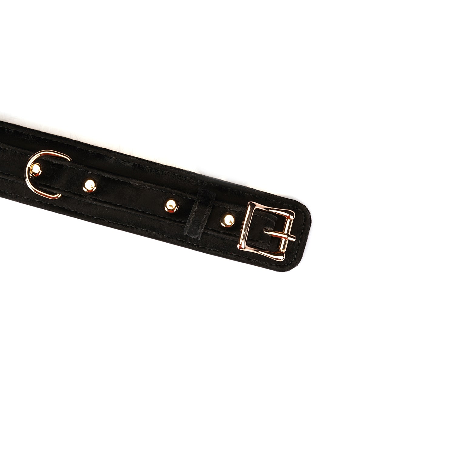 Collier avec laisse velours Noir