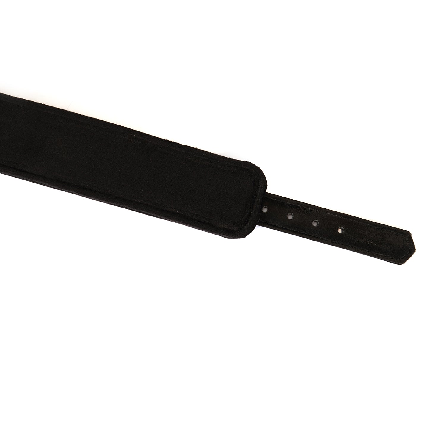 Collier avec laisse velours Noir