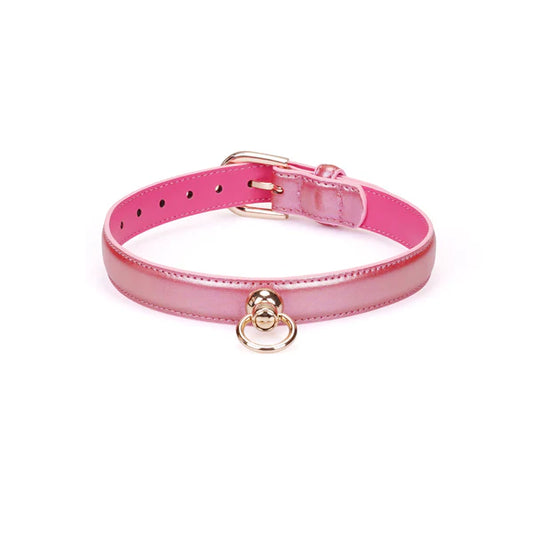 Iridescent pink collar and leash