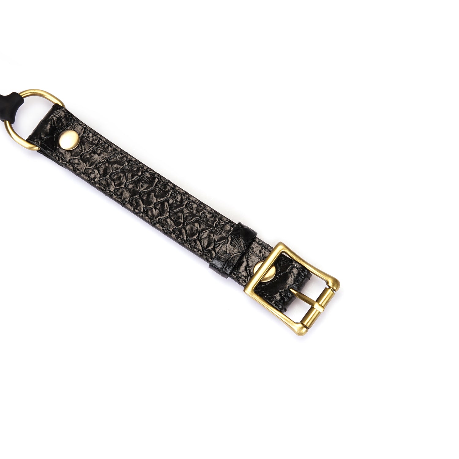 Gag Ball style croco
