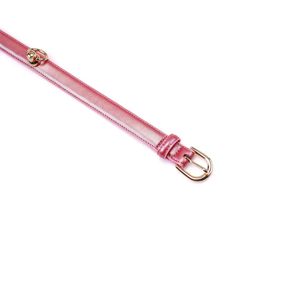 Collier avec laisse rose irisé