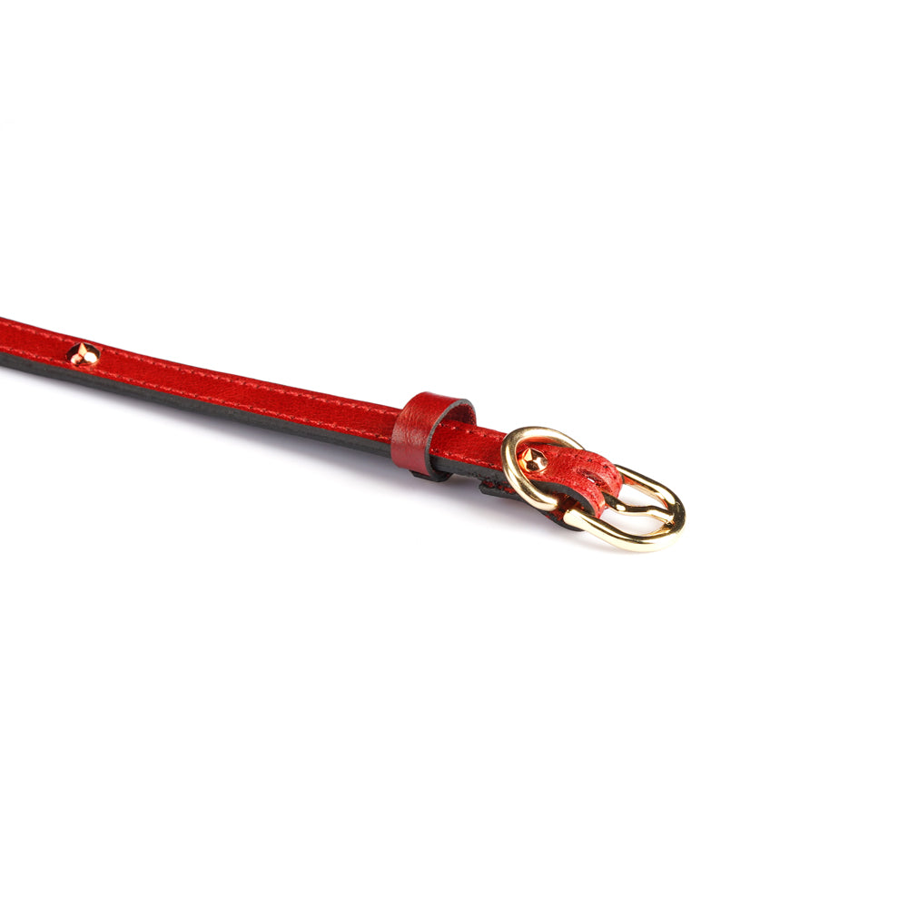 Collier fin en cuir Rouge avec strass