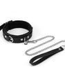 Black and silver collar and leash