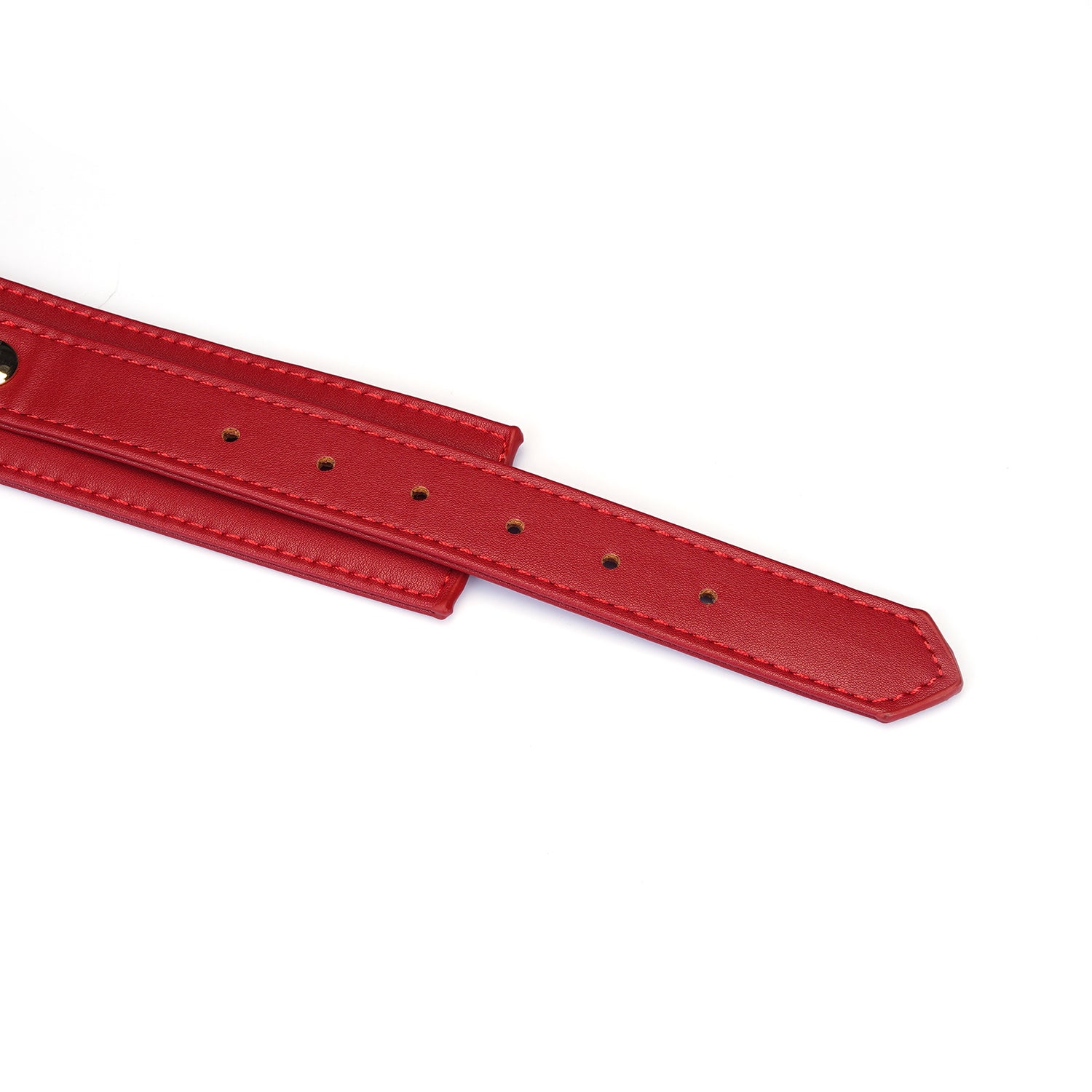 Collier avec laisse simili cuir rouge