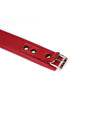Collier avec laisse simili cuir rouge