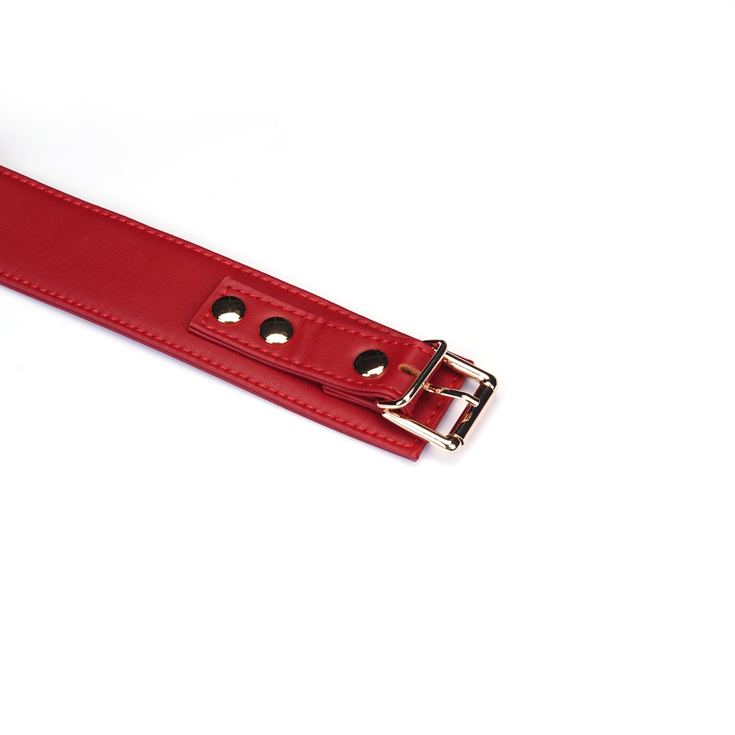 Collier avec laisse simili cuir rouge
