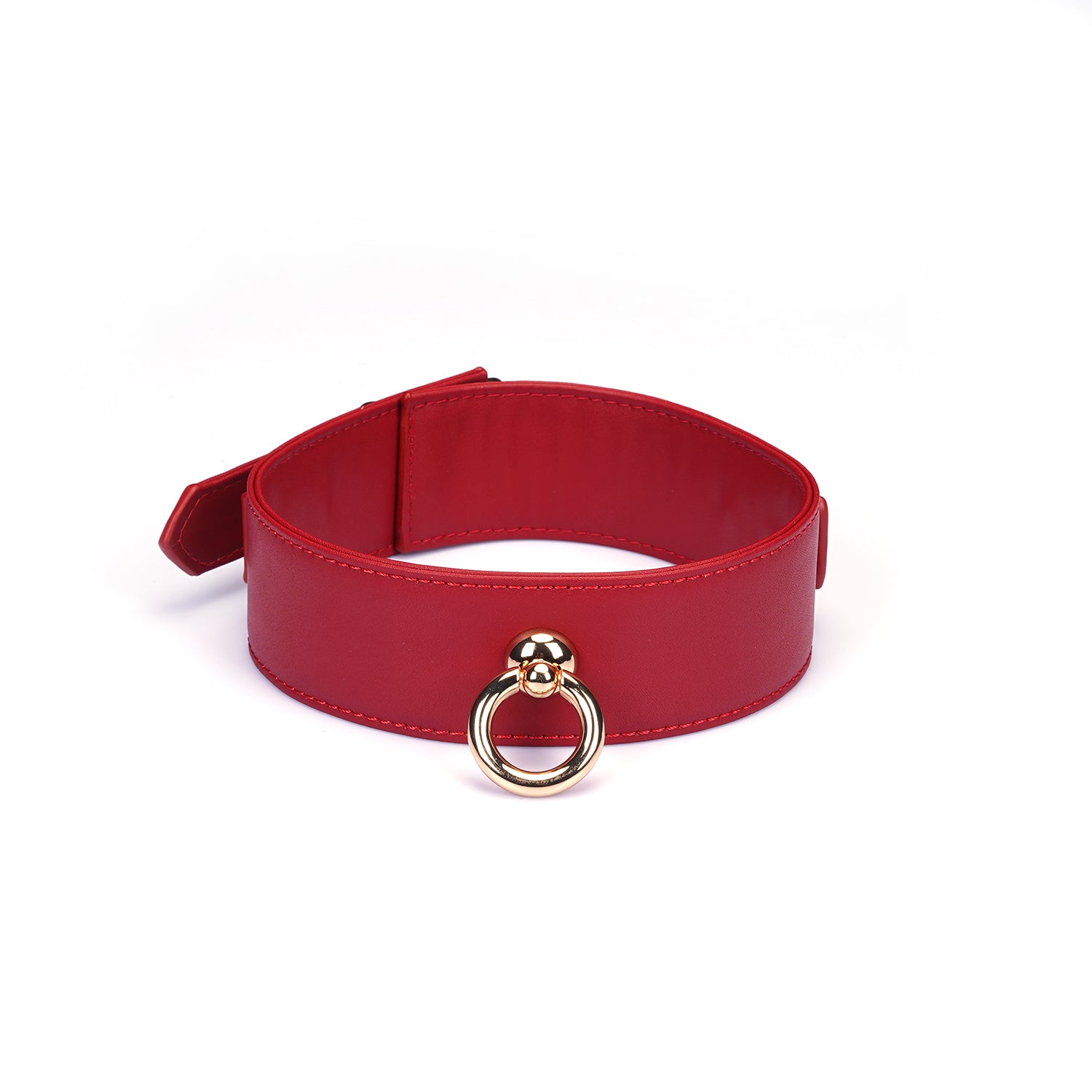 Collier avec laisse simili cuir rouge