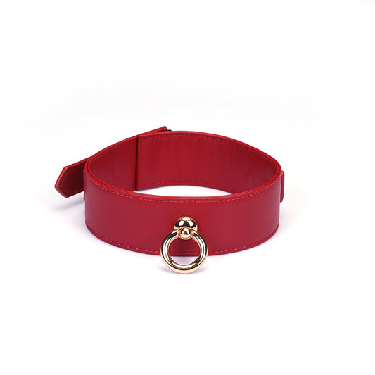 Red faux leather collar and leash set