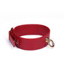 Collier avec laisse simili cuir rouge