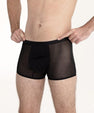 Boxer Roméo