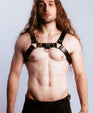 Bruce Harness